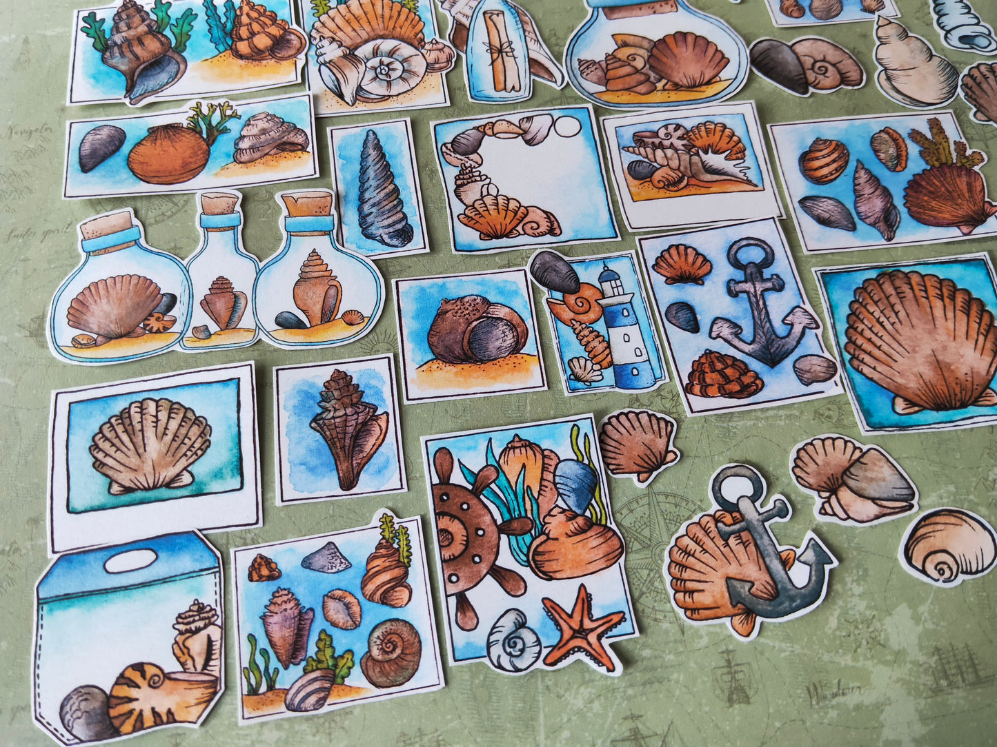 Stickers coquillages – Lot de 38 autocollants d’été à l’aquarelle - Illustrations nature et océan