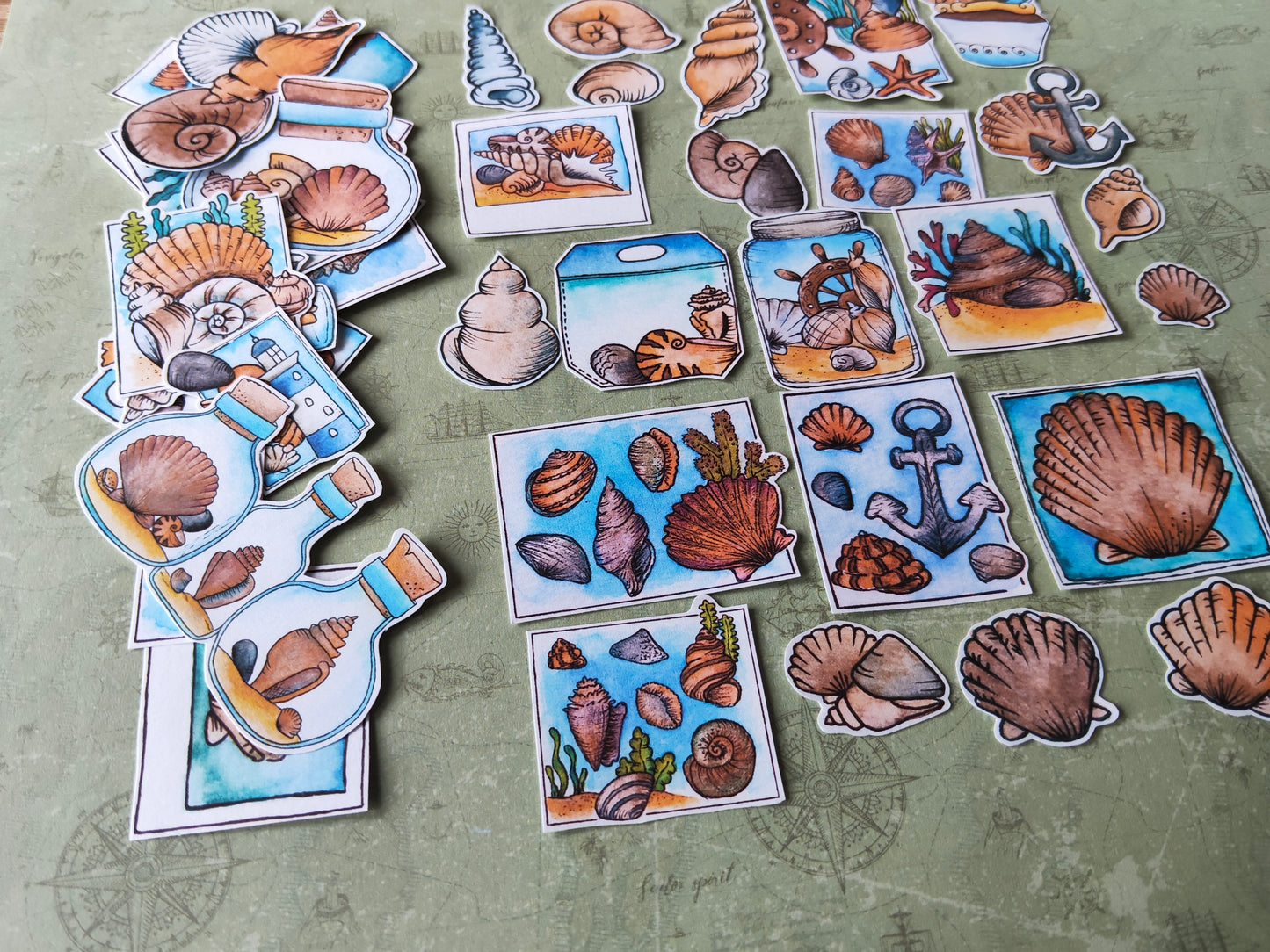 Stickers coquillages – Lot de 38 autocollants d’été à l’aquarelle - Illustrations nature et océan