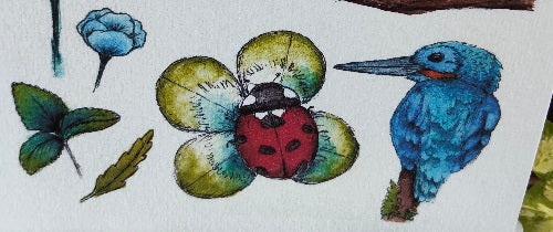 Un été exotique : animaux tropicaux et ambiance colorée à l’aquarelle