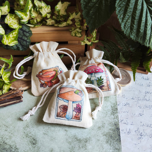 L’automne et les champignons : une saison magique