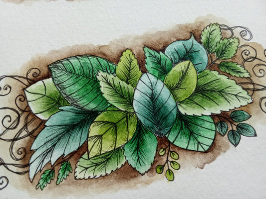 Illustrations à l’aquarelle d’arbres et feuillages – nature & tropiques