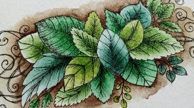 Illustrations à l’aquarelle d’arbres et feuillages – nature & tropiques
