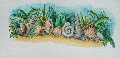 Cap sur la mer : illustrations à l’aquarelle entre phares et coquillages