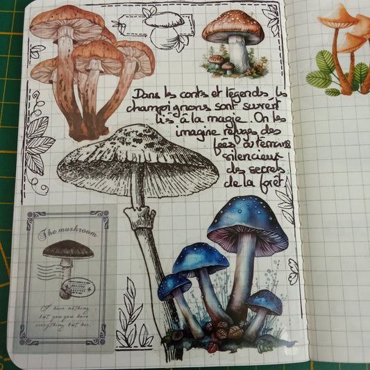 Le journaling autour des champignons, une invitation à la rêverie et à la nature