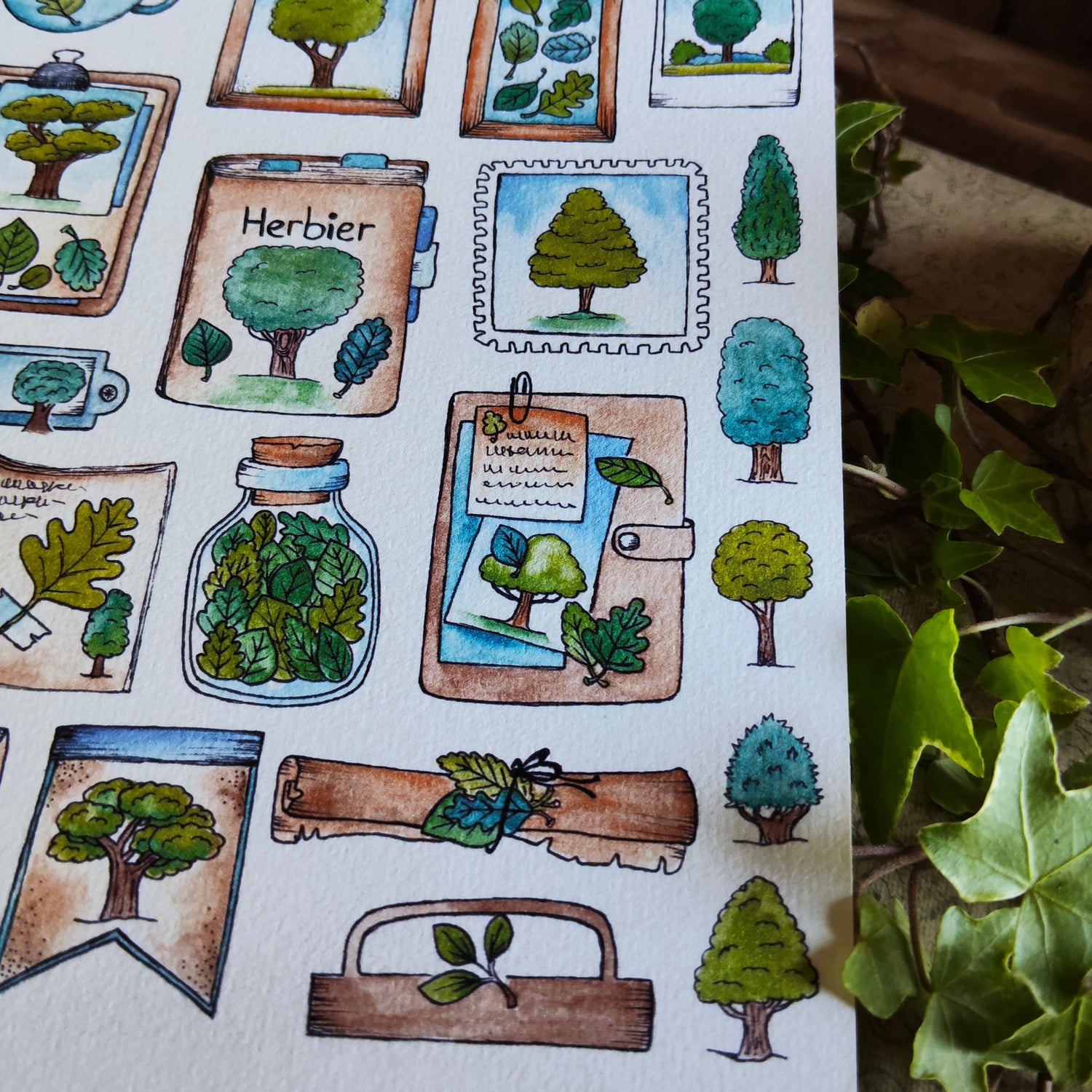 Arbres et Feuillages