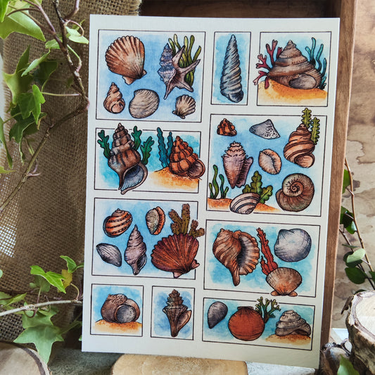Affiche A5 Coquillages – Illustration Bord de Mer à l’Aquarelle, Ambiance Plage et Océan