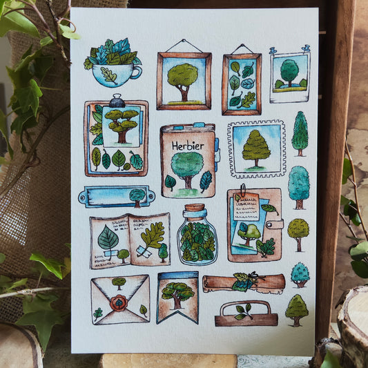 Affiche A5 – Herbier Arbre illustré – Planche botanique plantes et objets