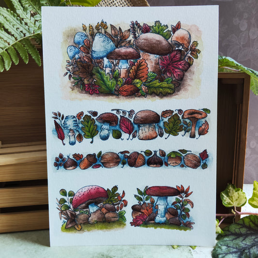 Affiche Bordure Champignon – Glands, Noix & Feuilles