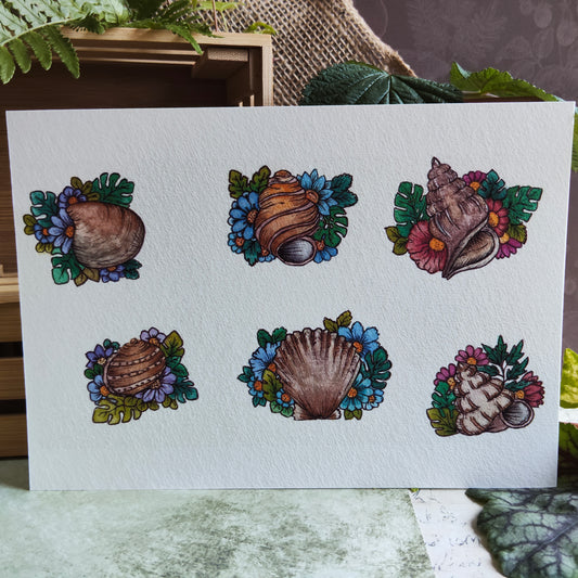 Affiche A5 Coquillages Ronds – Fleurs et Mer