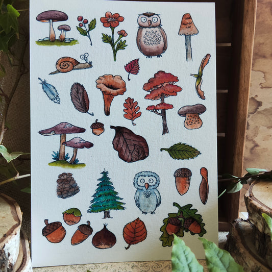 Affiche A5 – Balade en forêt – Illustration nature champignons et animaux mignons