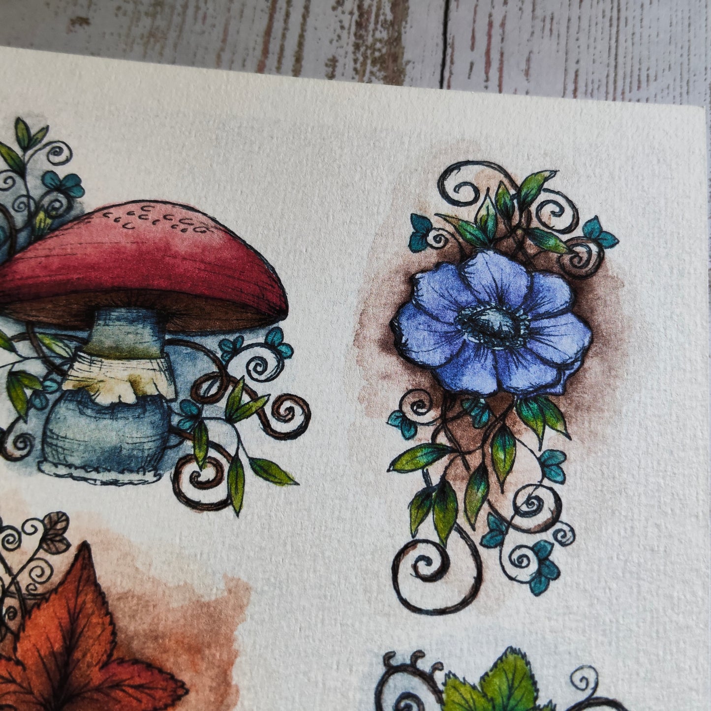 Affiche A5 Champignons & Fleurs Arabesques
