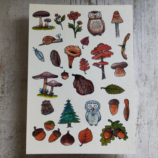 Affiche A5 – Balade en forêt – Illustration nature champignons et animaux mignons
