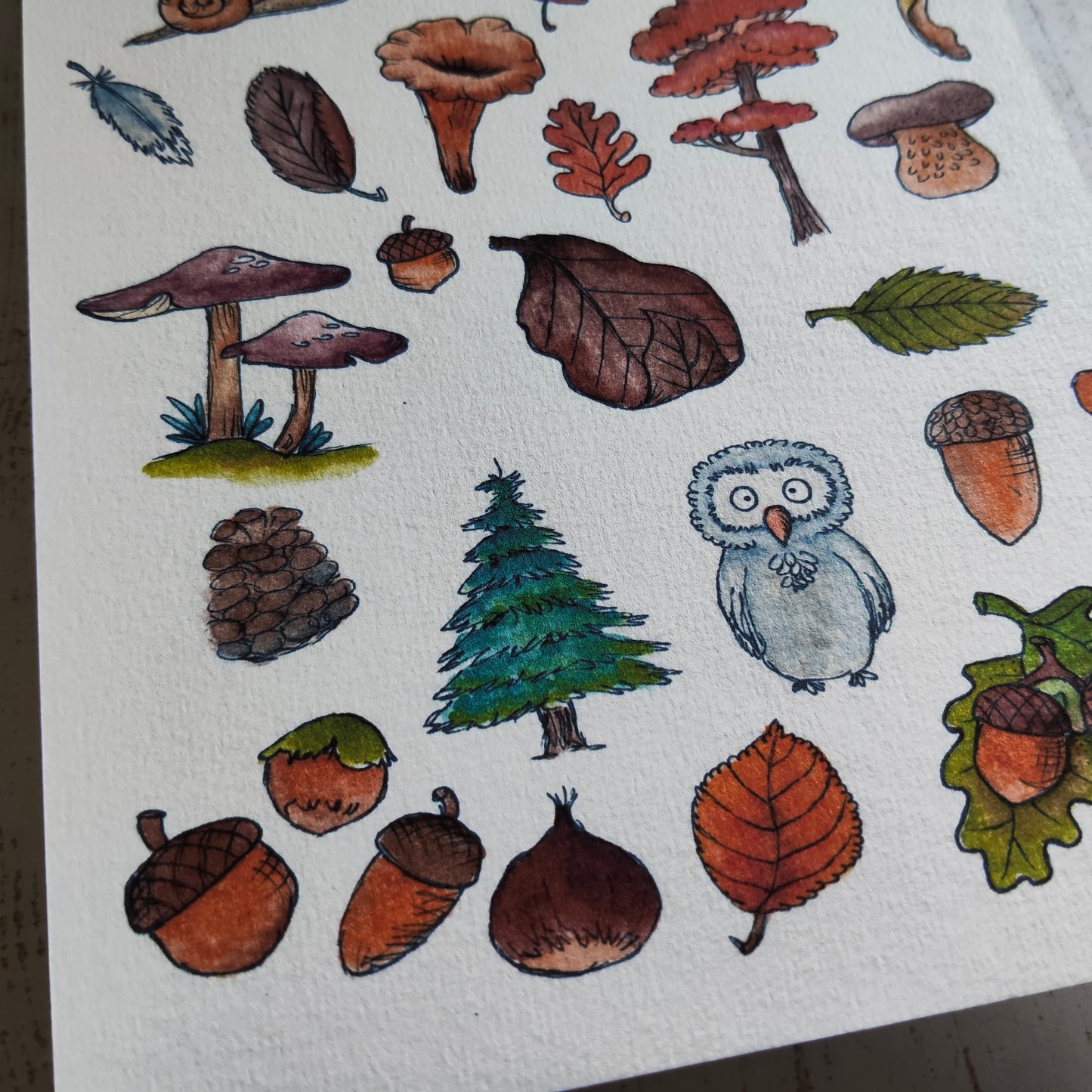 Affiche A5 – Balade en forêt – Illustration nature champignons et animaux mignons