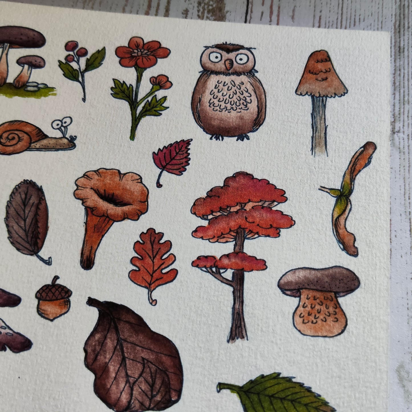 Affiche A5 – Balade en forêt – Illustration nature champignons et animaux mignons