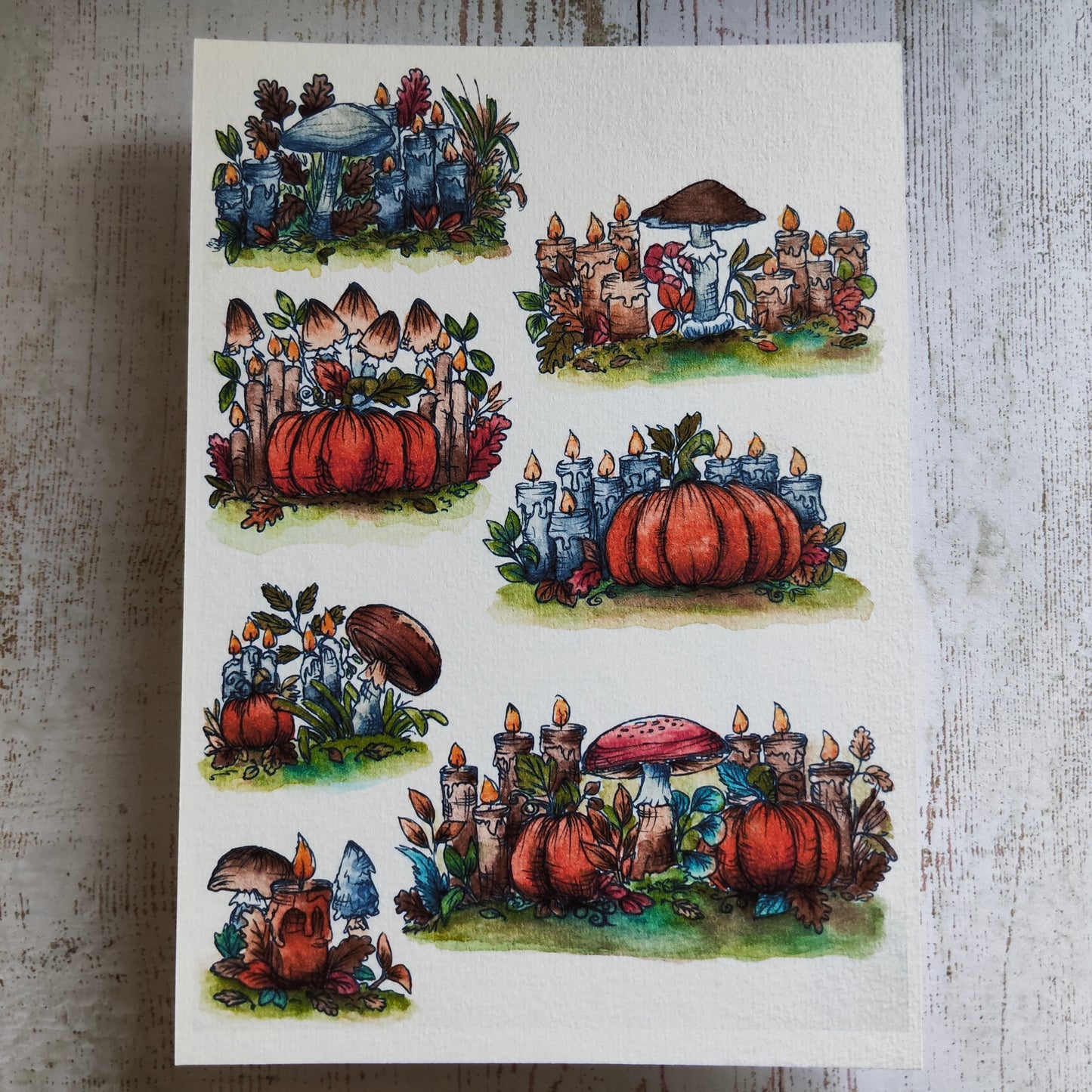 Affiche A5 Citrouilles et Champignons – Magie d’Automne