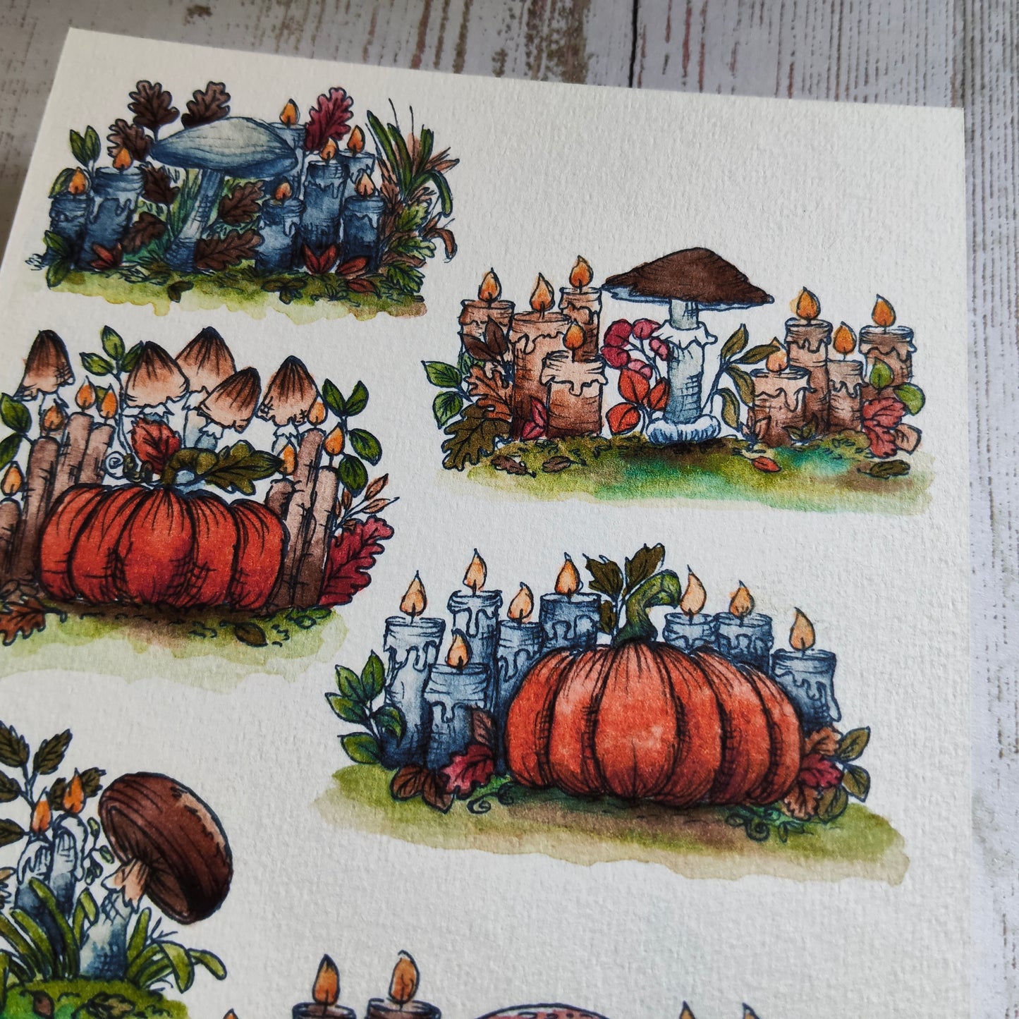 Affiche A5 Citrouilles et Champignons – Magie d’Automne