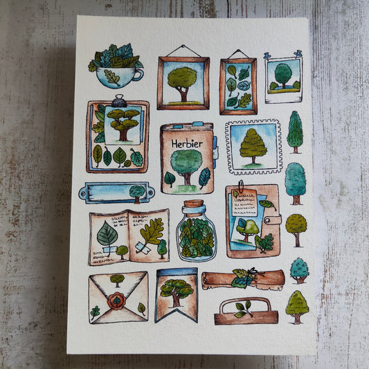 Affiche A5 – Herbier Arbre illustré – Planche botanique plantes et objets