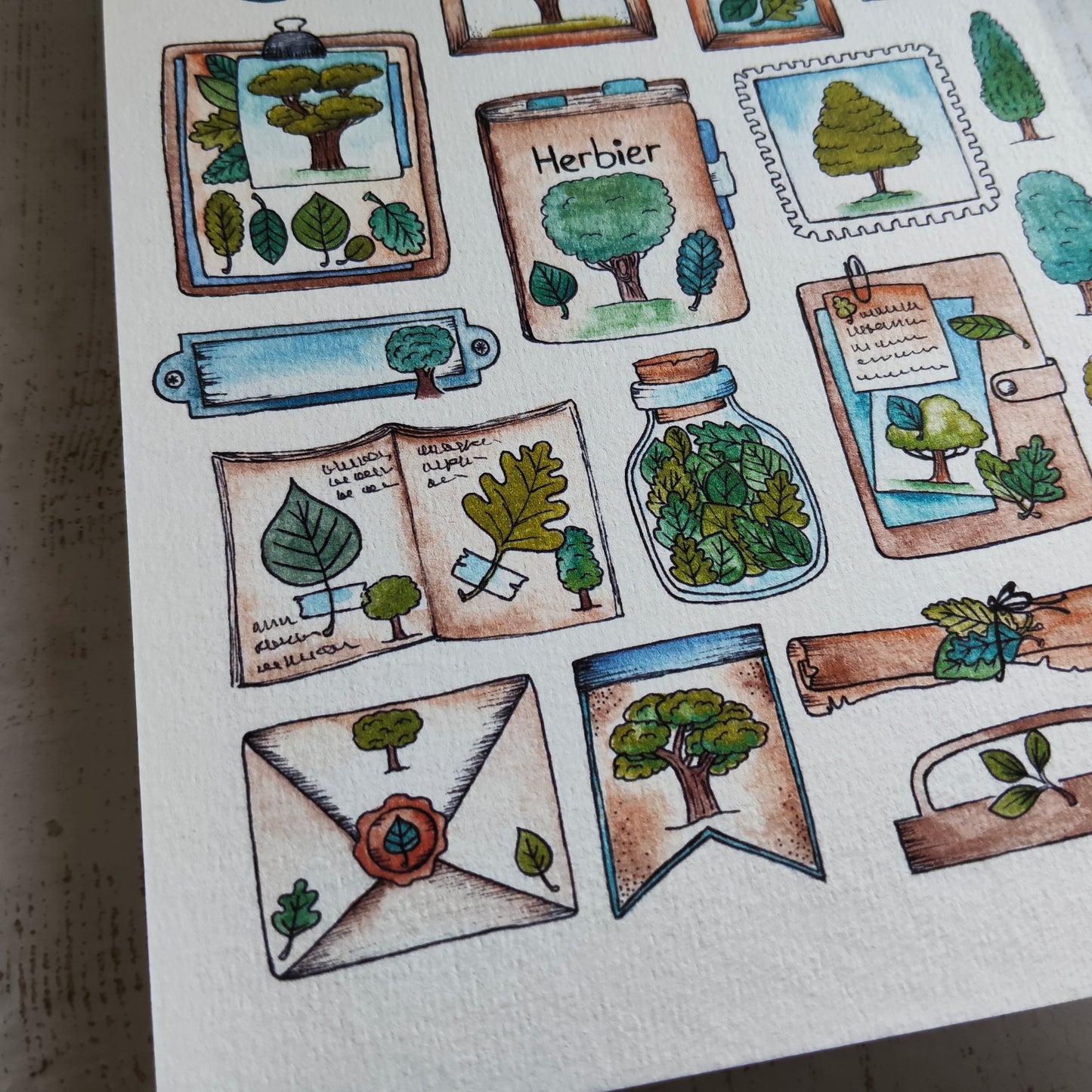 Affiche A5 – Herbier Arbre illustré – Planche botanique plantes et objets