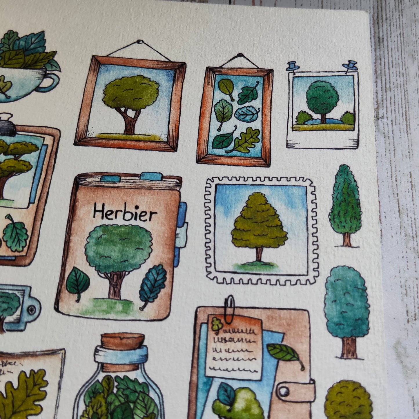 Affiche A5 – Herbier Arbre illustré – Planche botanique plantes et objets