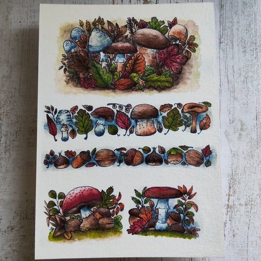 Affiche Bordure Champignon – Glands, Noix & Feuilles