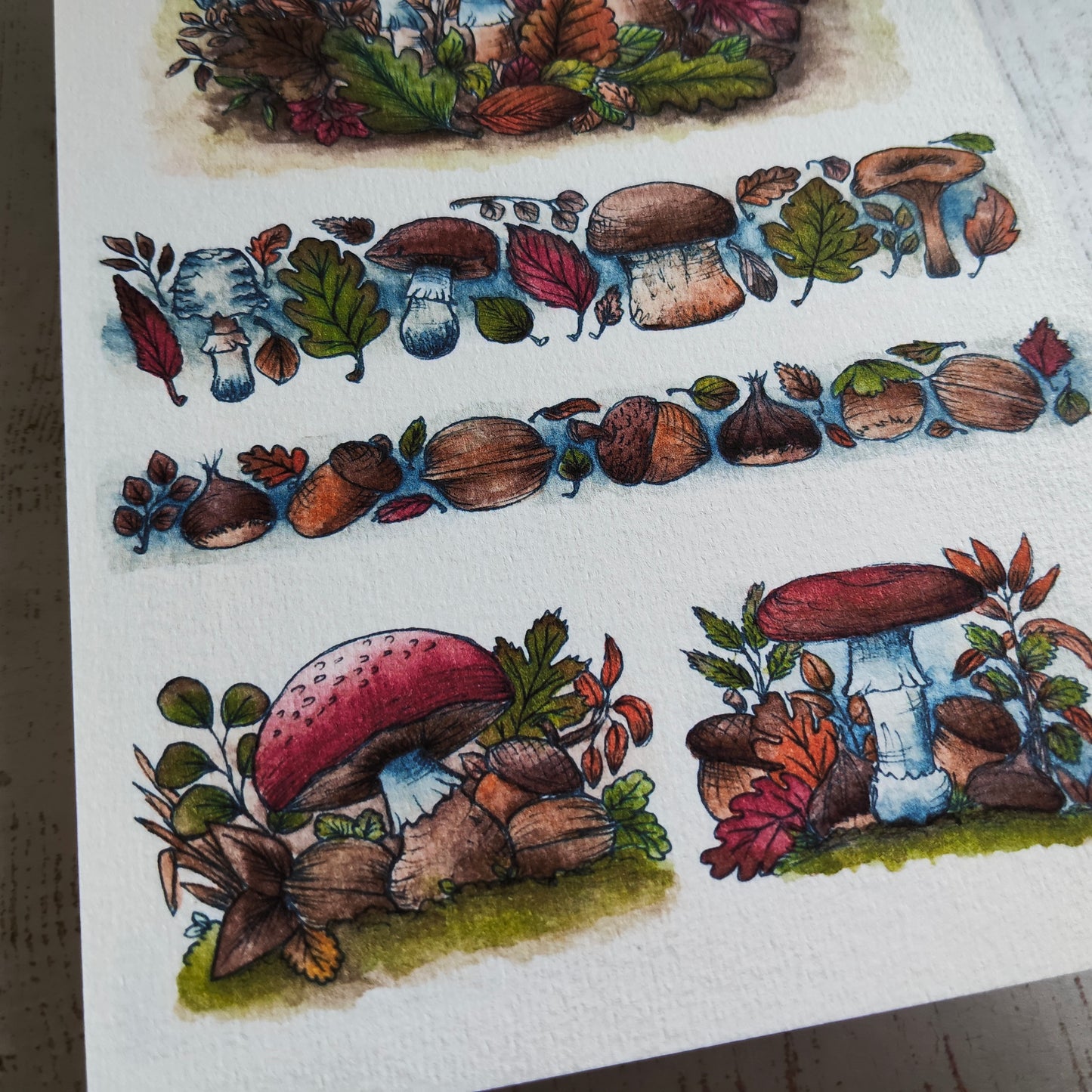 Affiche Bordure Champignon – Glands, Noix & Feuilles