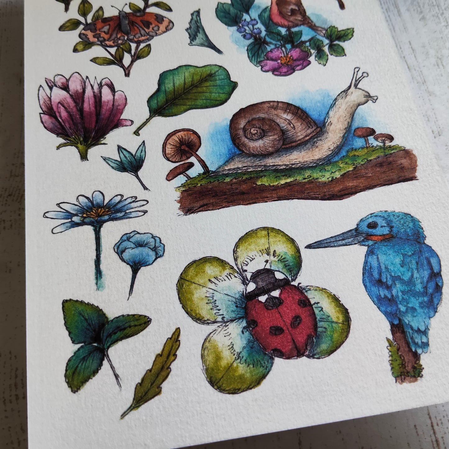 Affiche A5 – Petite vie au jardin – Illustration animaux et fleurs