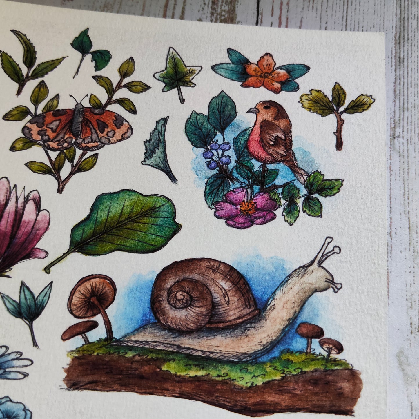 Affiche A5 – Petite vie au jardin – Illustration animaux et fleurs
