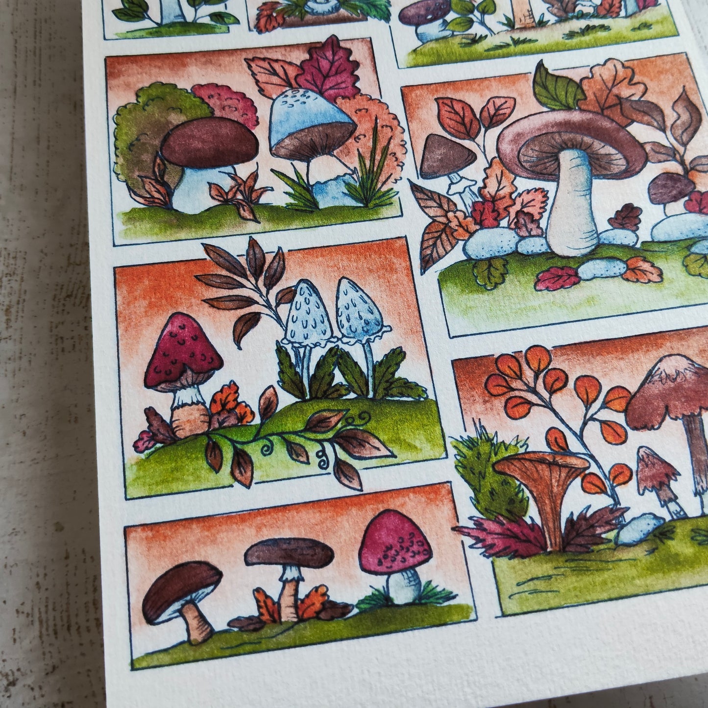 Affiche A5 Champignon Saison Automne Moodboard