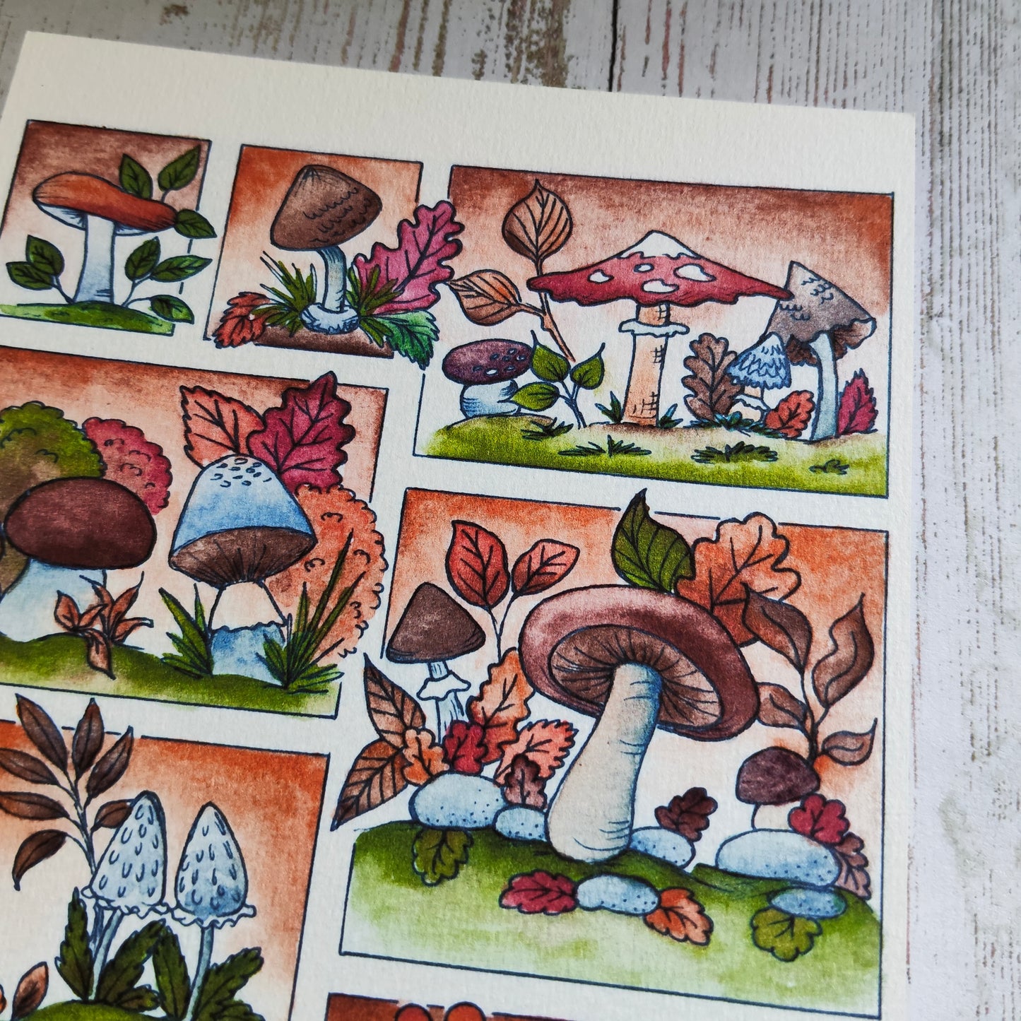 Affiche A5 Champignon Saison Automne Moodboard
