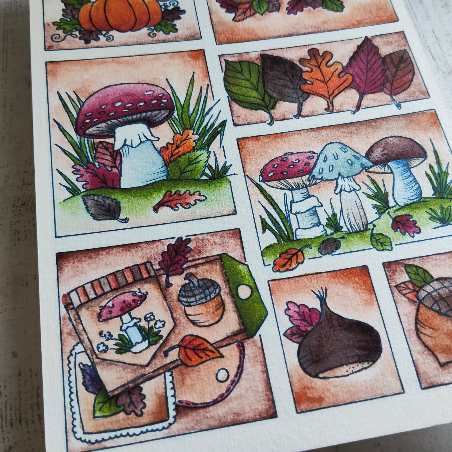 Affiche A5 Saison Automne Feuillage Gland Noix Champignon