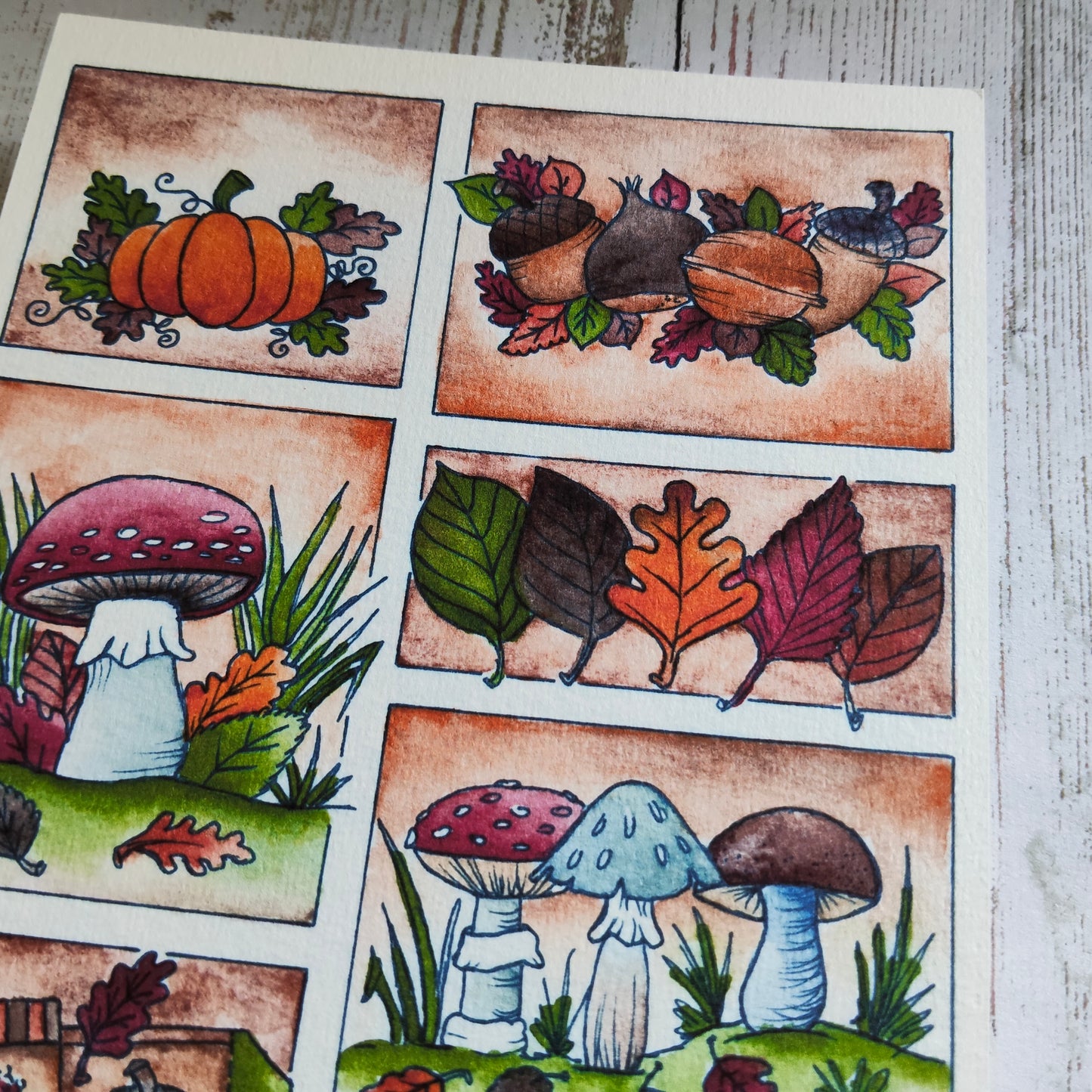 Affiche A5 Saison Automne Feuillage Gland Noix Champignon