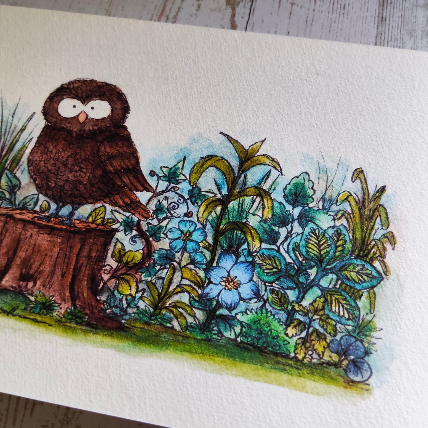 Affiche Aquarelle "Chouette sur Souche" - Illustration Animalière Magique