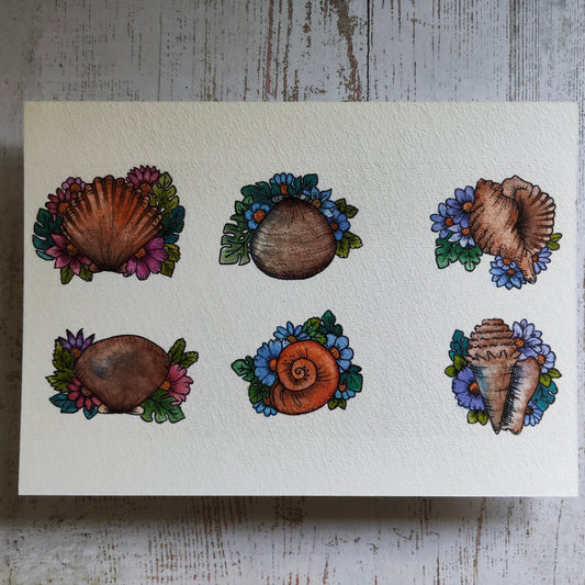 Affiche A5 Coquillages et Fleurs – Plage et Été