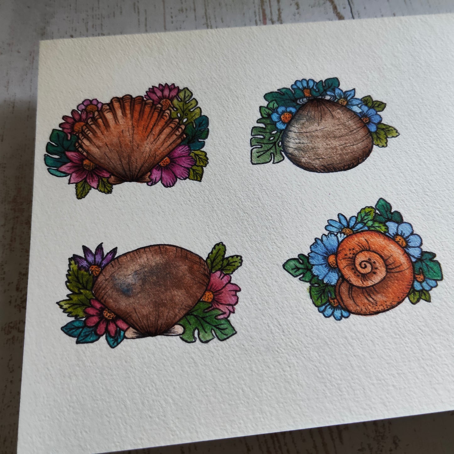 Affiche A5 Coquillages et Fleurs – Plage et Été
