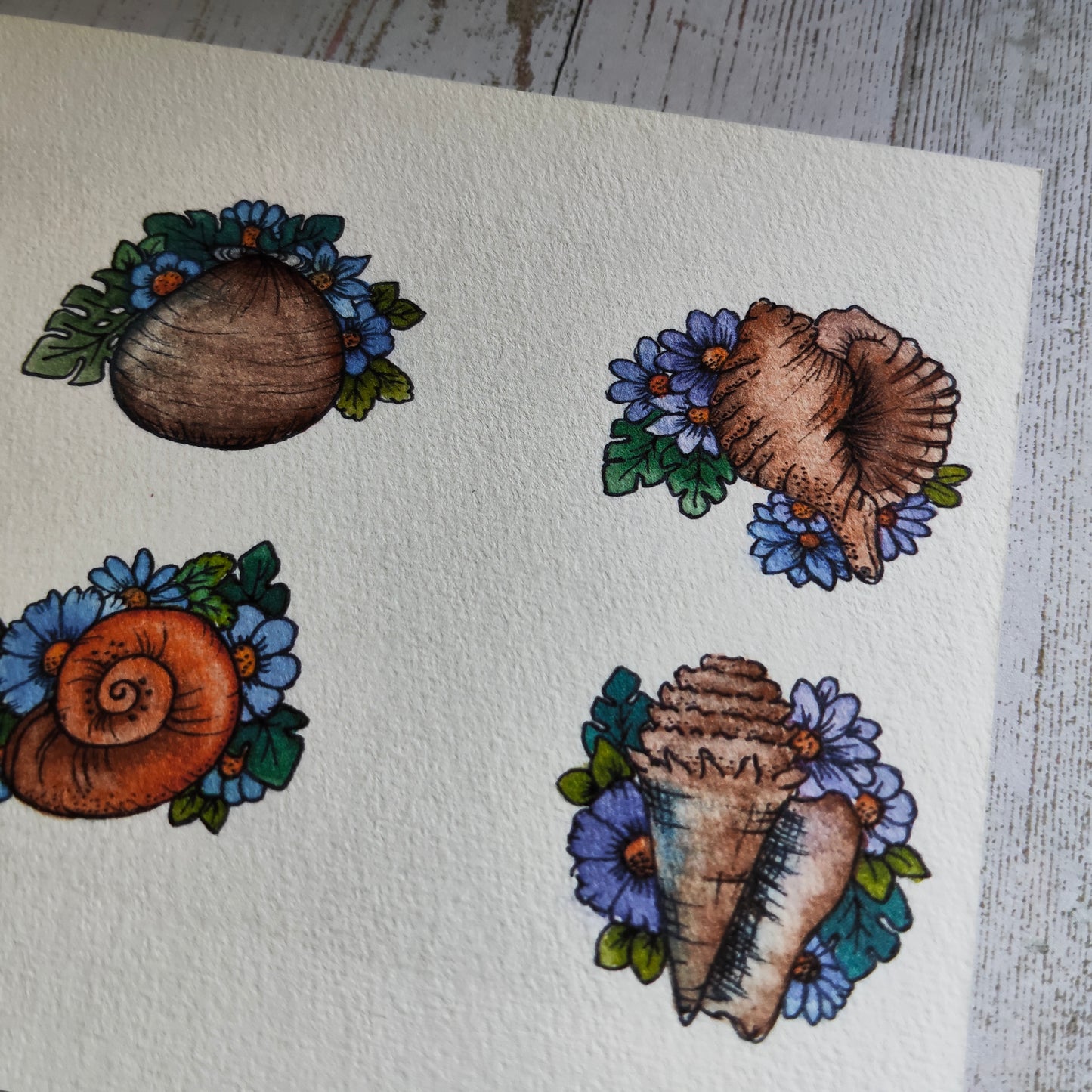 Affiche A5 Coquillages et Fleurs – Plage et Été