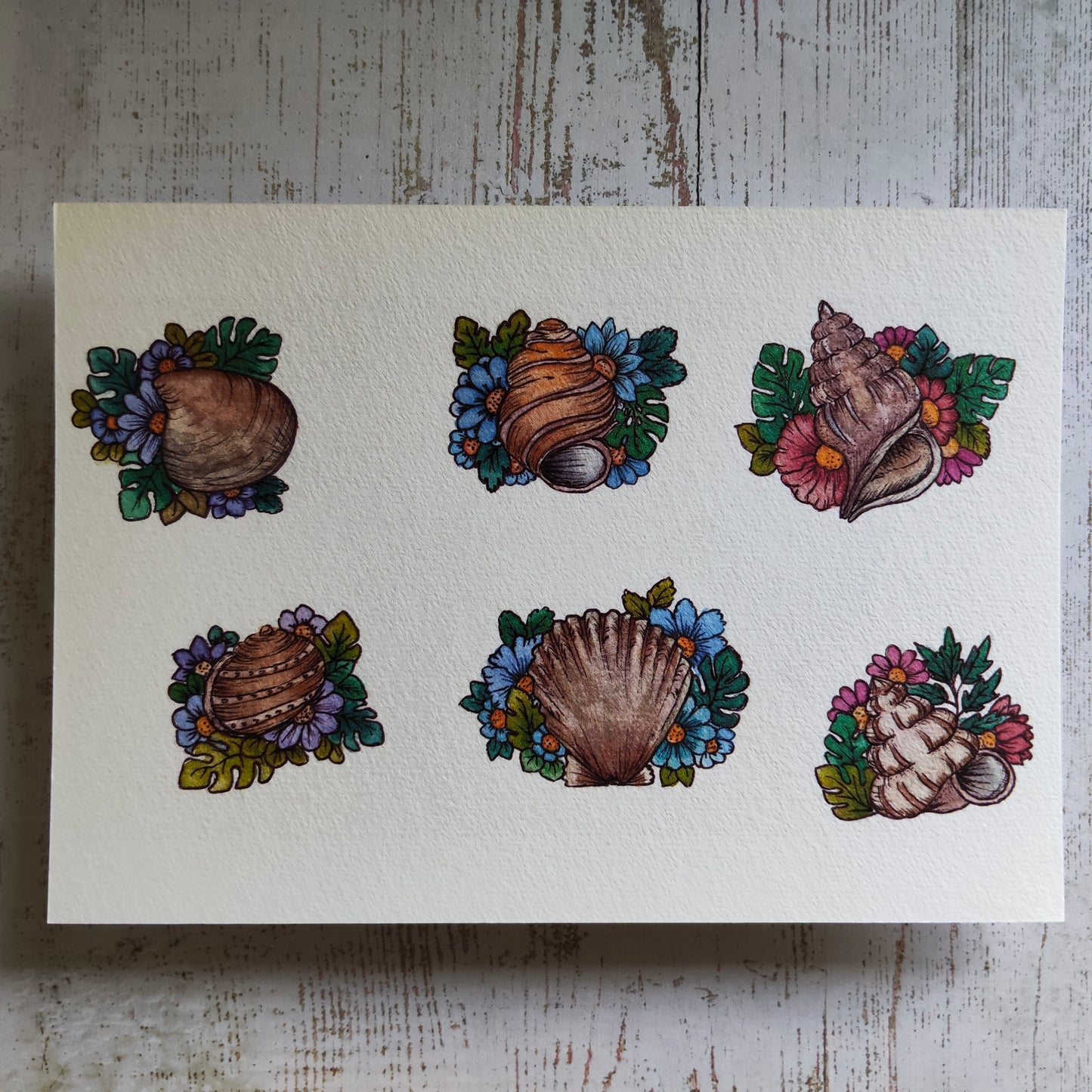 Affiche A5 Coquillages Ronds – Fleurs et Mer