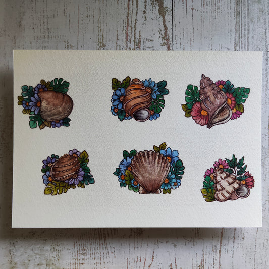 Affiche A5 Coquillages Ronds – Fleurs et Mer