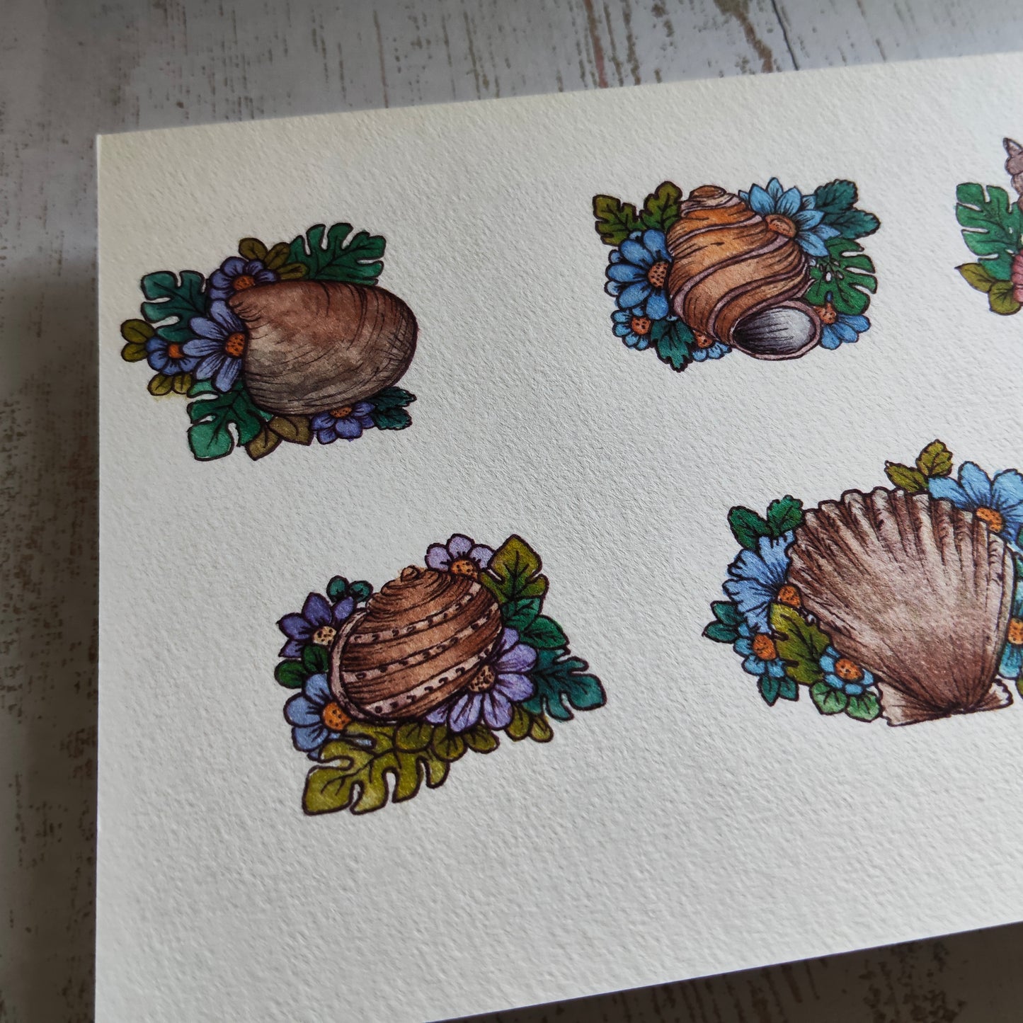 Affiche A5 Coquillages Ronds – Fleurs et Mer