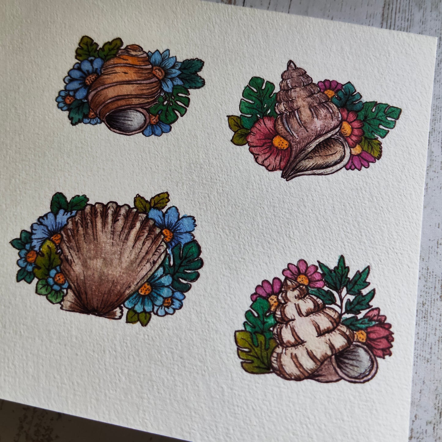 Affiche A5 Coquillages Ronds – Fleurs et Mer