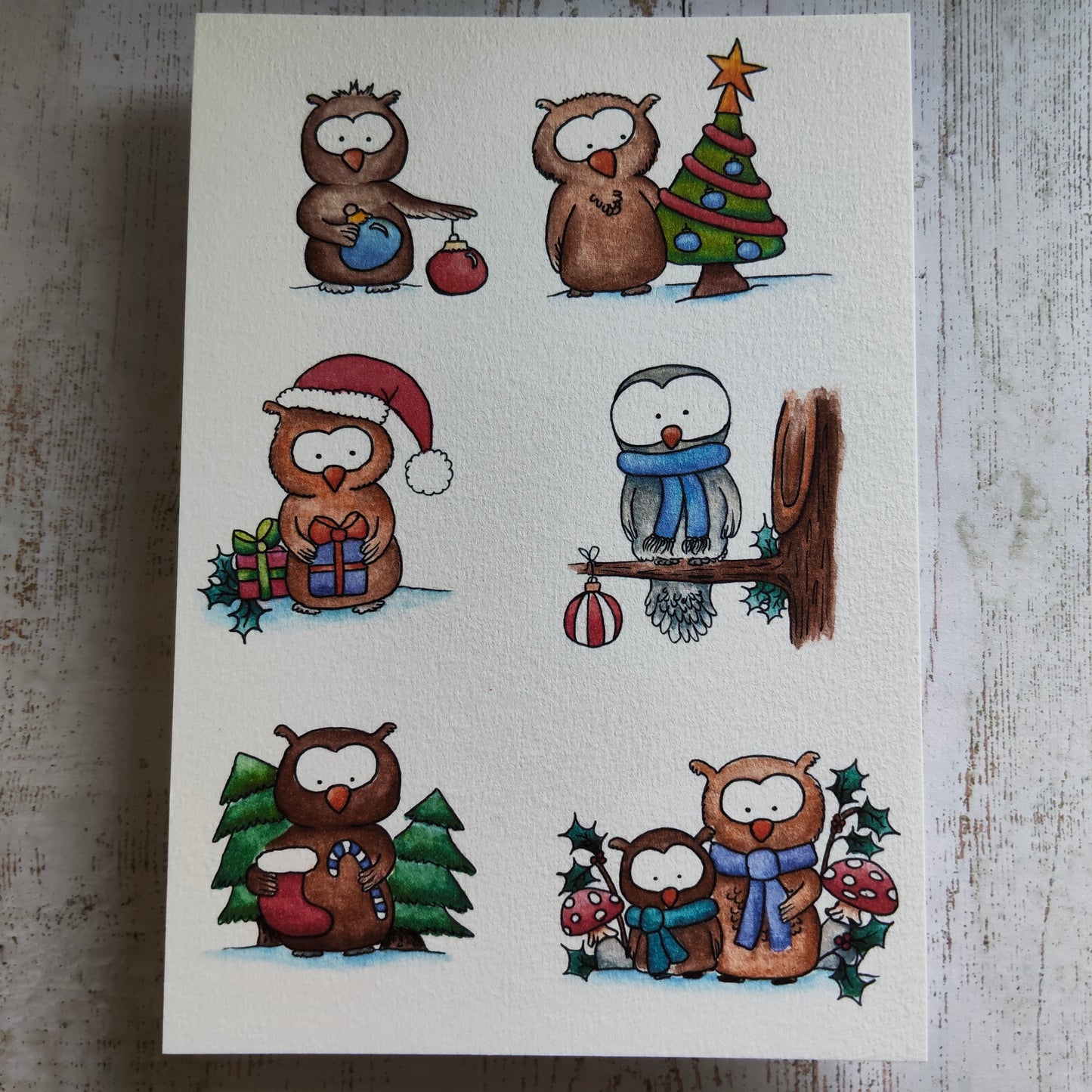 Affiche A5 Animal Oiseaux Hiboux Chouette Saison Hiver Noël