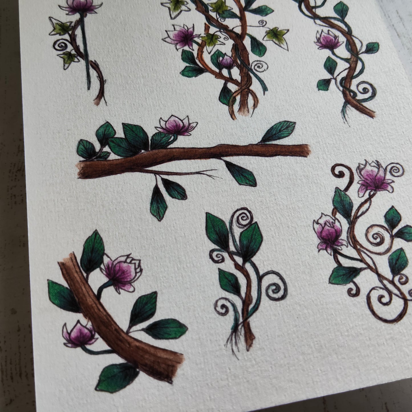 Affiche A5 – Lierre et Branche – Illustration florale Fleurs Magnolia