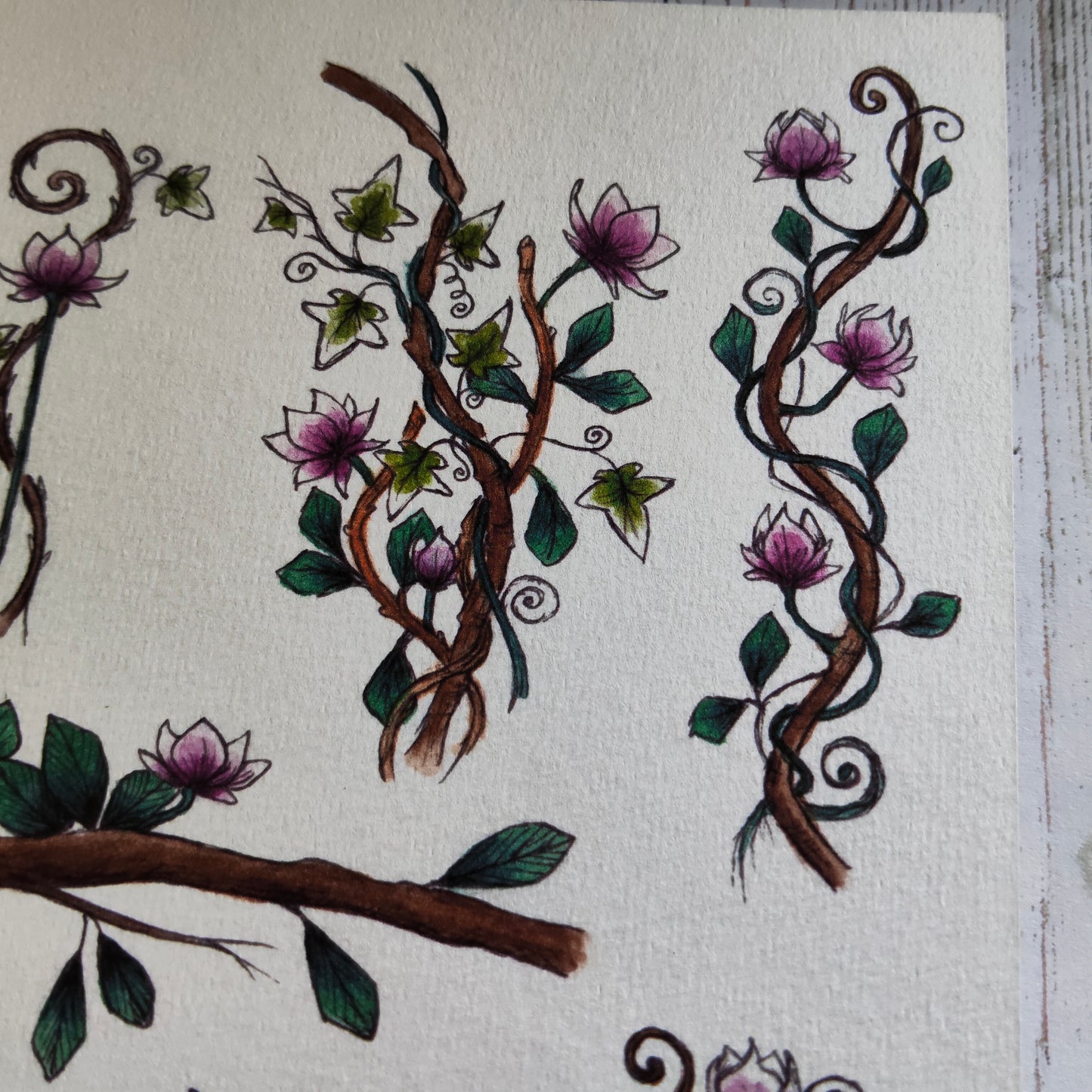 Affiche A5 – Lierre et Branche – Illustration florale Fleurs Magnolia