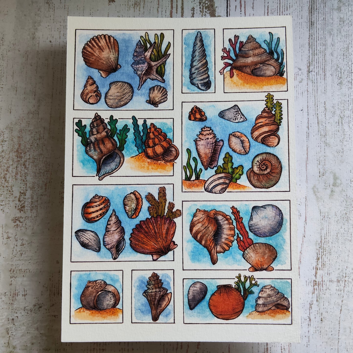 Affiche A5 Coquillages – Illustration Bord de Mer à l’Aquarelle, Ambiance Plage et Océan