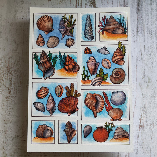 Affiche A5 Coquillages – Illustration Bord de Mer à l’Aquarelle, Ambiance Plage et Océan