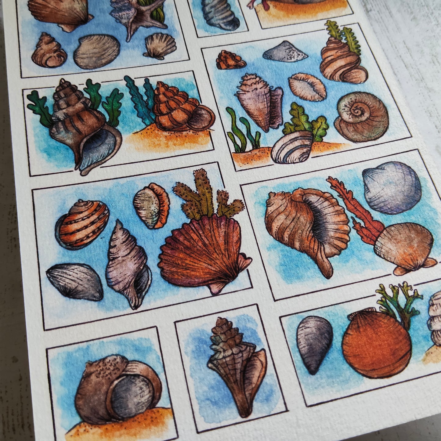 Affiche A5 Coquillages – Illustration Bord de Mer à l’Aquarelle, Ambiance Plage et Océan