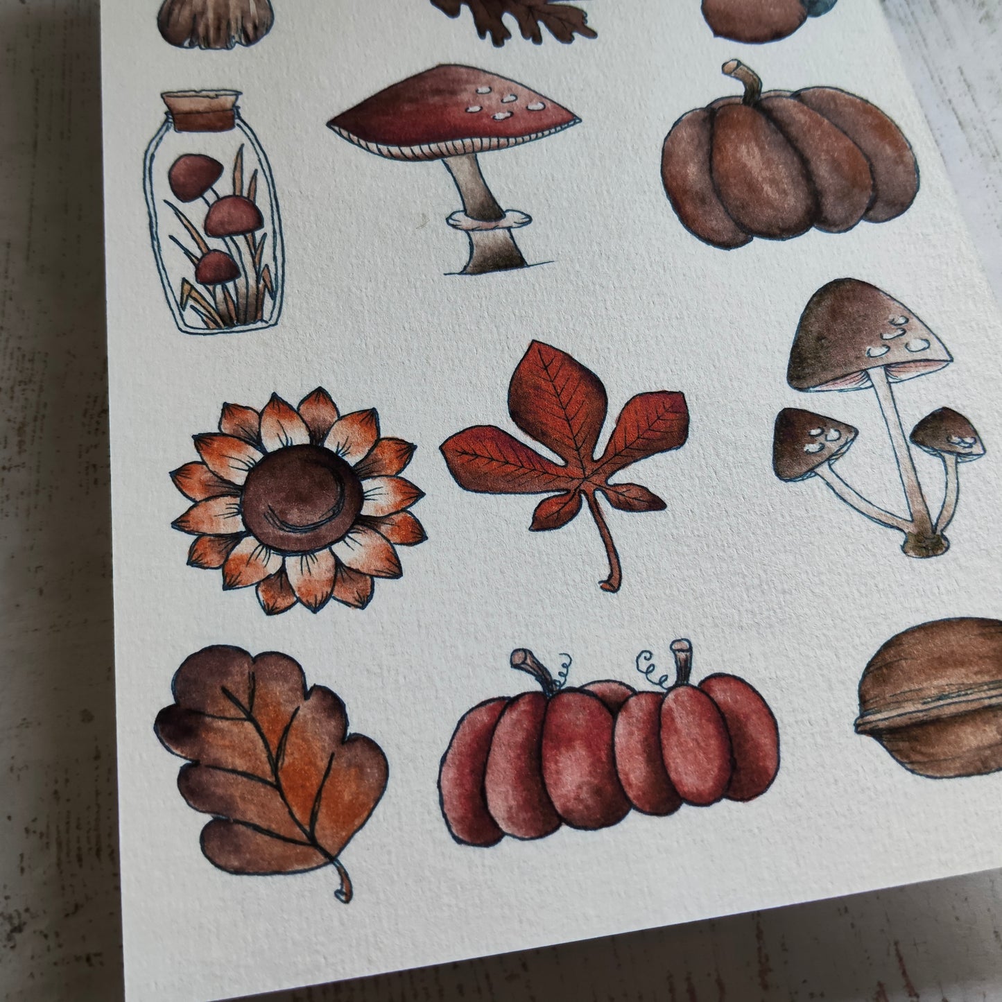 Affiche A5 Champignons & Feuilles – Collection Nature