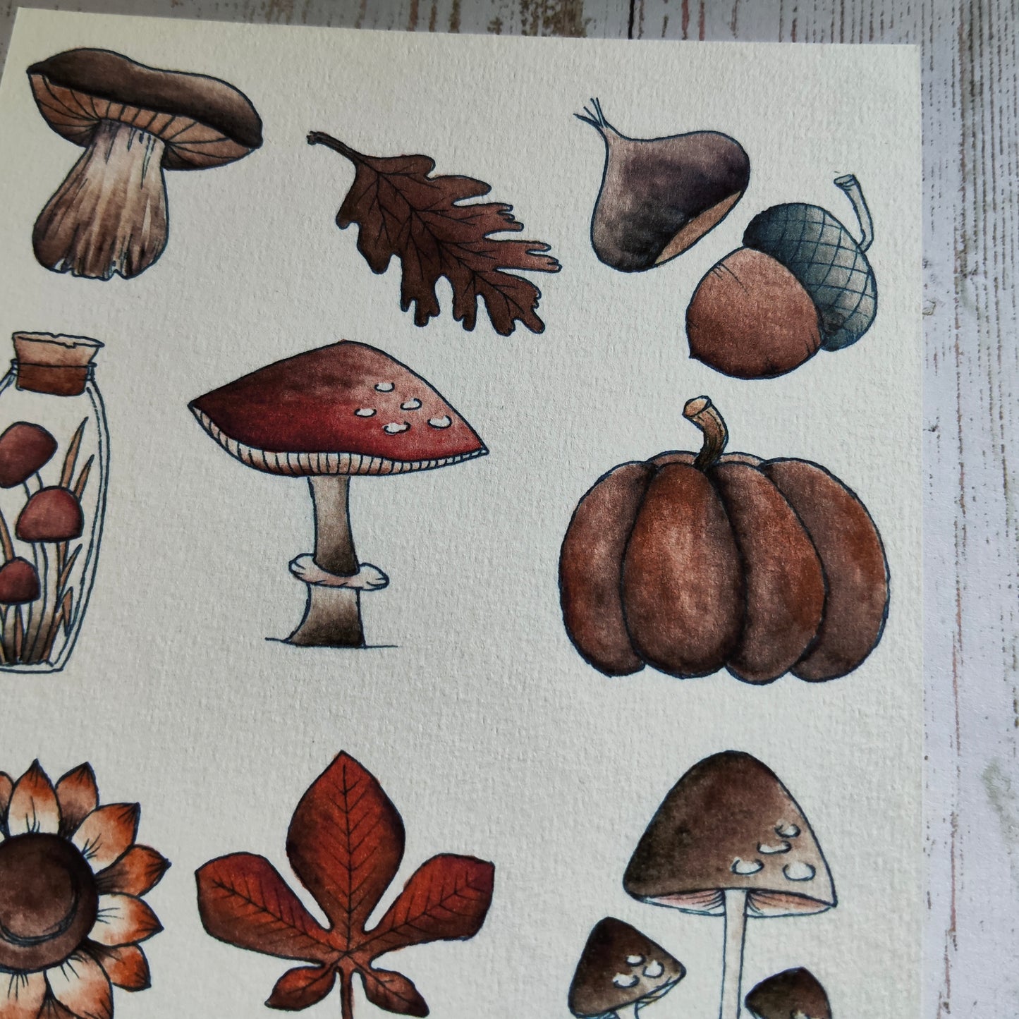 Affiche A5 Champignons & Feuilles – Collection Nature