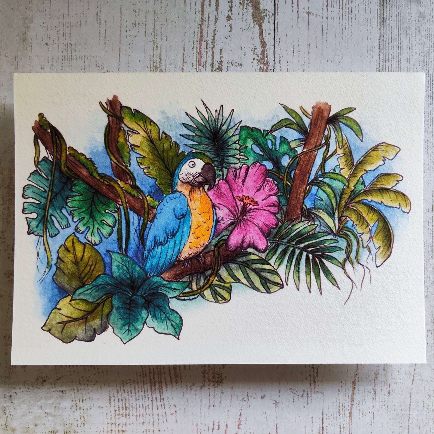 Affiche Saison été Tropicale Animal Oiseau Perroquet Bleu