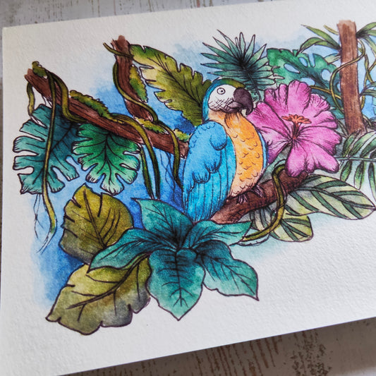 Affiche Saison été Tropicale Animal Oiseau Perroquet Bleu