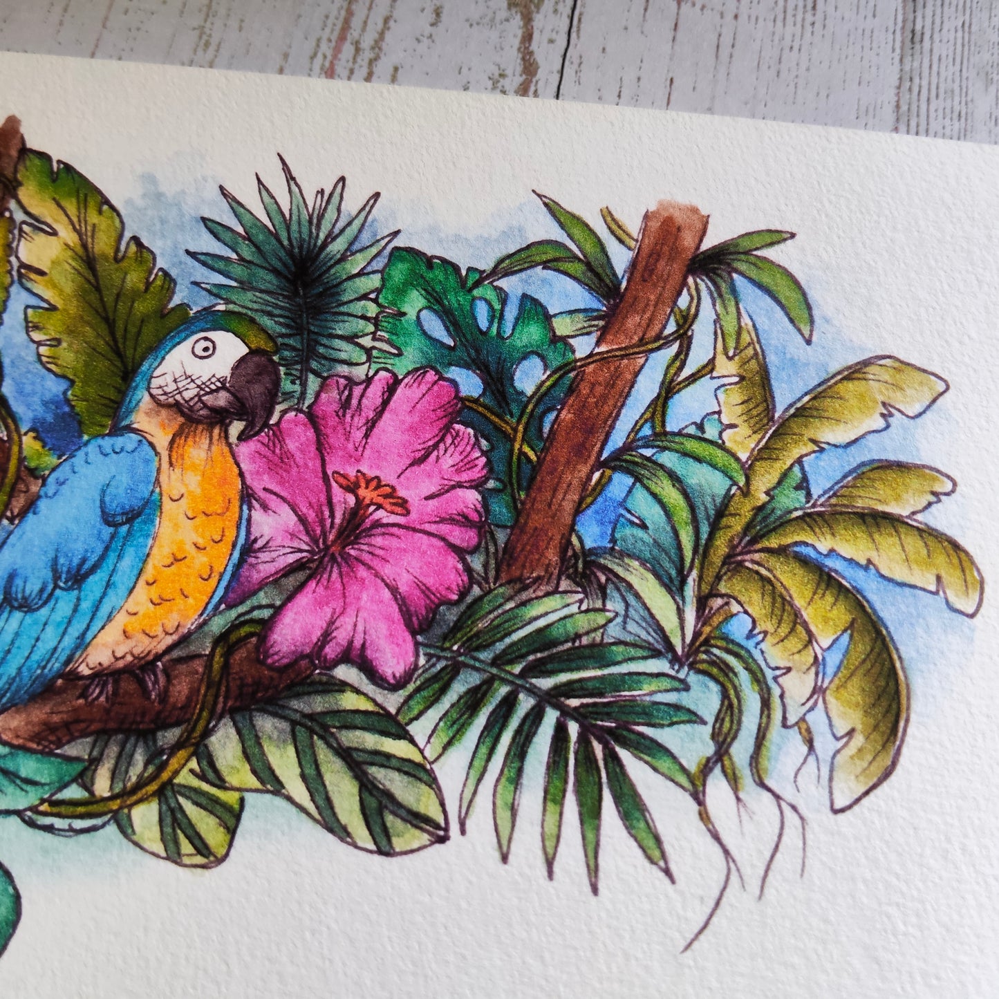 Affiche Saison été Tropicale Animal Oiseau Perroquet Bleu